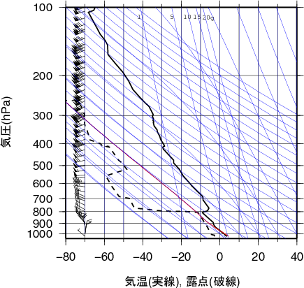 エマグラム画像