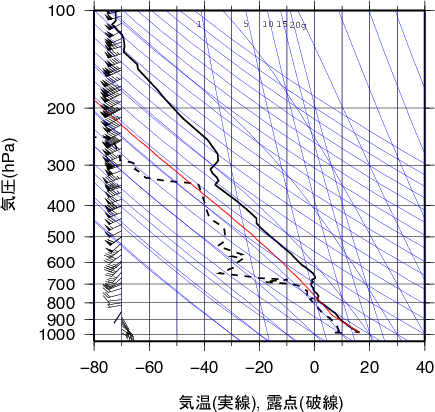 エマグラム画像