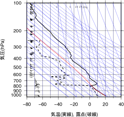 エマグラム画像