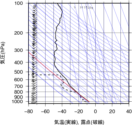 エマグラム画像