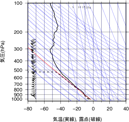 エマグラム画像