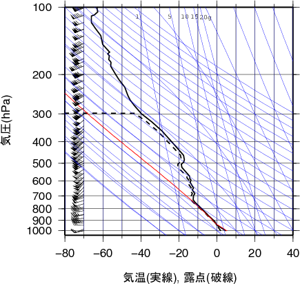 エマグラム画像