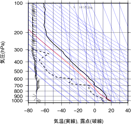 エマグラム画像