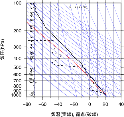 エマグラム画像