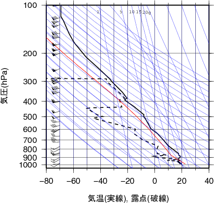 エマグラム画像