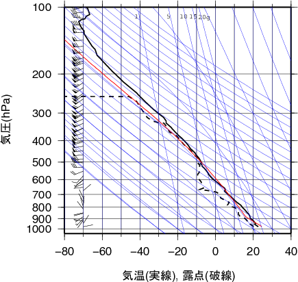 エマグラム画像