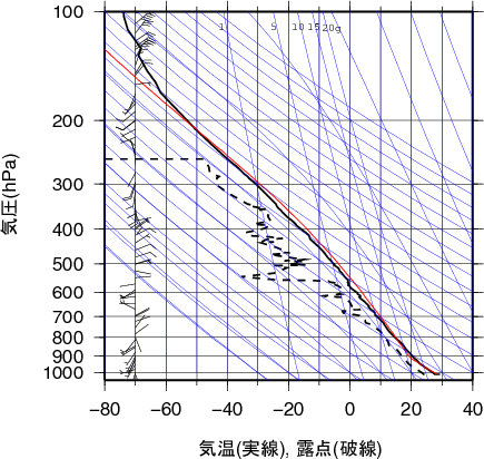 エマグラム画像