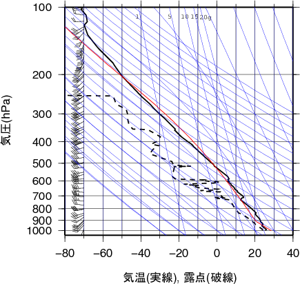 エマグラム画像