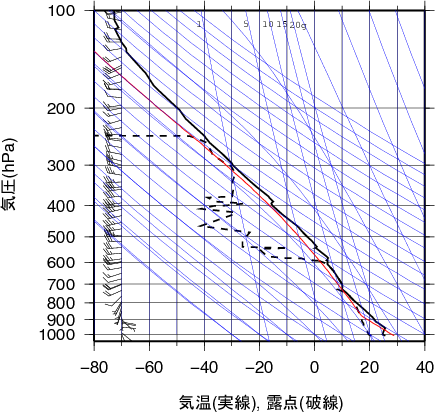 エマグラム画像