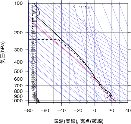 エマグラム画像