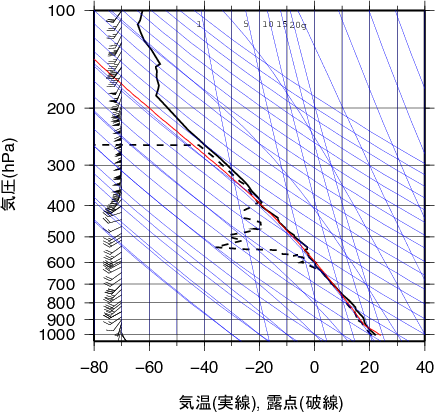 エマグラム画像