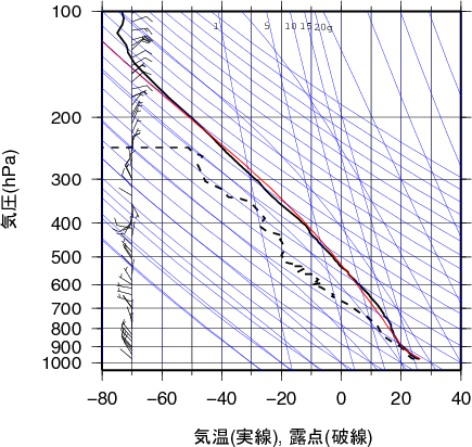 エマグラム画像