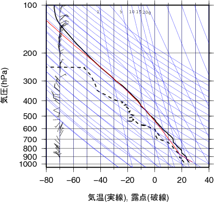 エマグラム画像