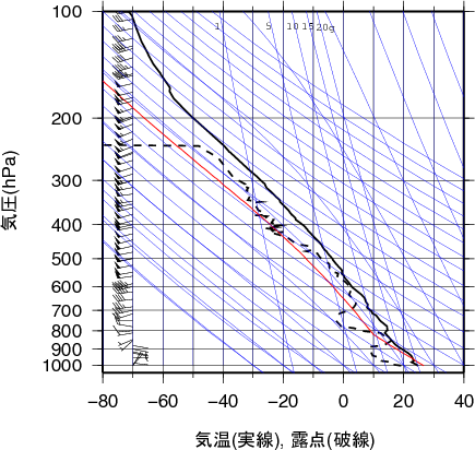 エマグラム画像