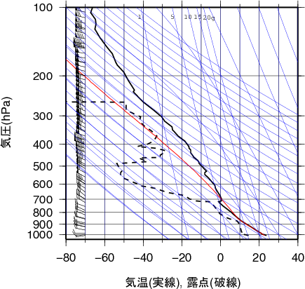 エマグラム画像