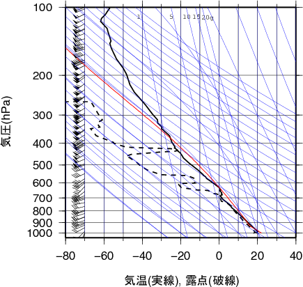 エマグラム画像