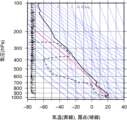 エマグラム画像