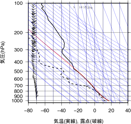 エマグラム画像