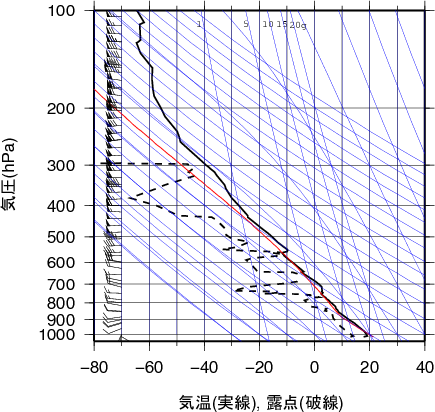 エマグラム画像