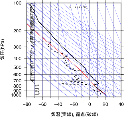 エマグラム画像