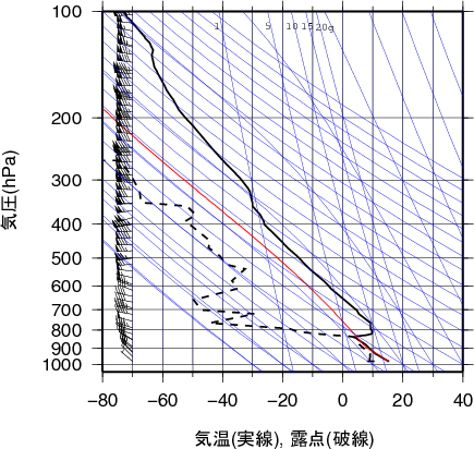 エマグラム画像