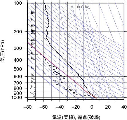 エマグラム画像