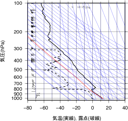 エマグラム画像