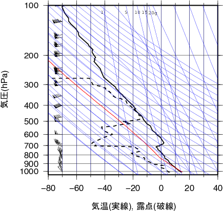 エマグラム画像