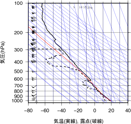 エマグラム画像