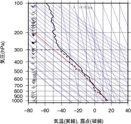 エマグラム画像