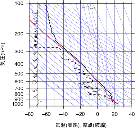 エマグラム画像