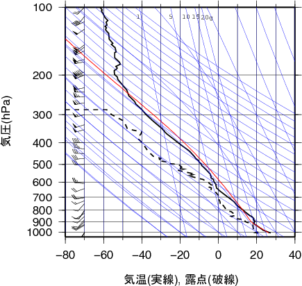 エマグラム画像