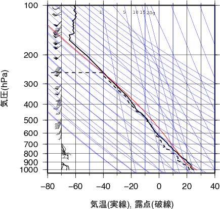 エマグラム画像