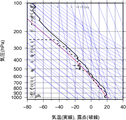 エマグラム画像