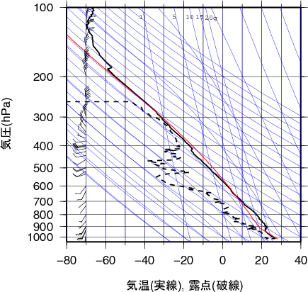 エマグラム画像