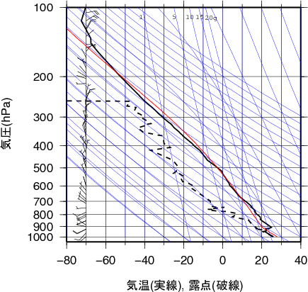 エマグラム画像