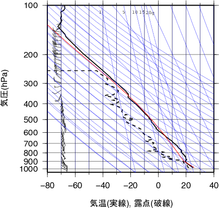 エマグラム画像