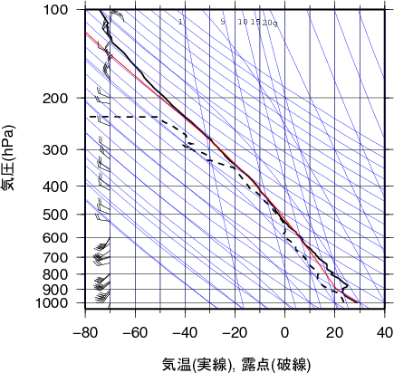 エマグラム画像