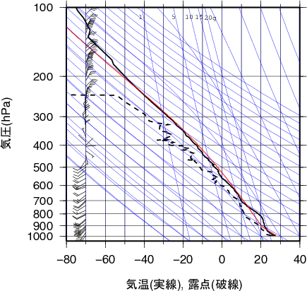 エマグラム画像