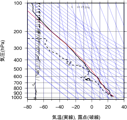 エマグラム画像