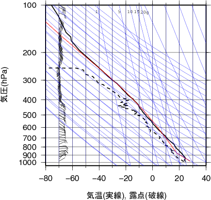 エマグラム画像