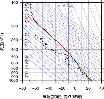 エマグラム画像