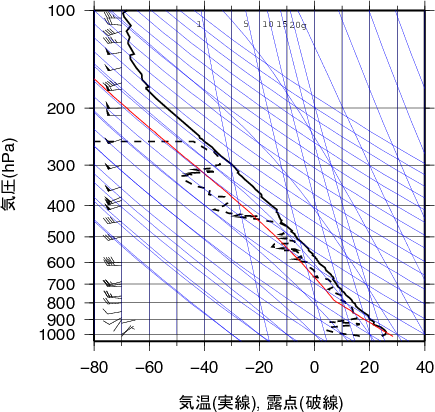 エマグラム画像