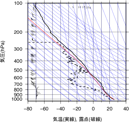 エマグラム画像