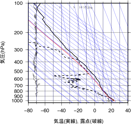 エマグラム画像