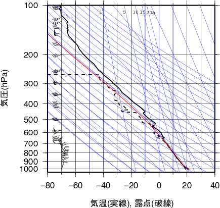 エマグラム画像