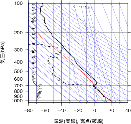 エマグラム画像