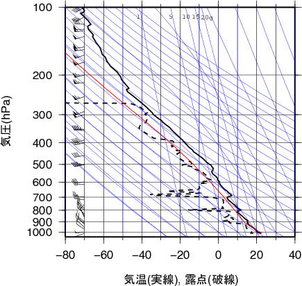 エマグラム画像