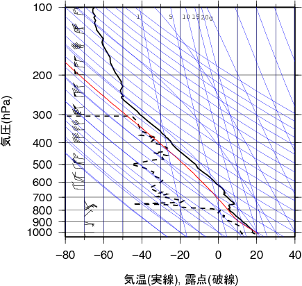 エマグラム画像