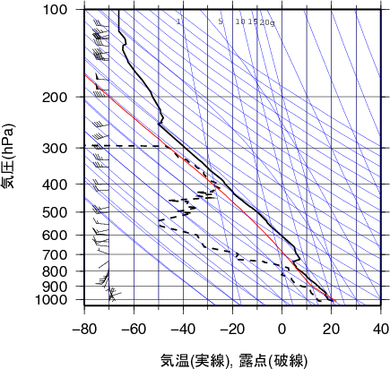 エマグラム画像